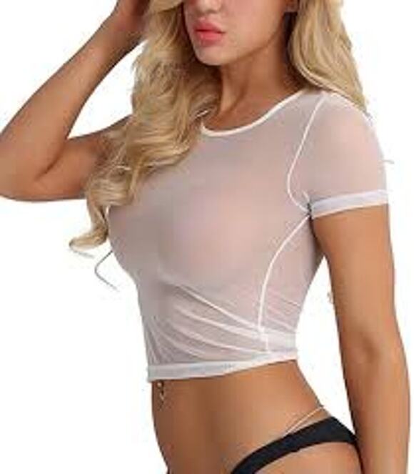 temu Tops - SEXY Mesh Crop Top T-Shirt Sheer Short Sleeve Size Small S NIP NEW y2K Baby Tee